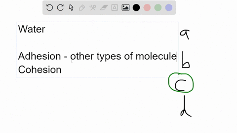 question-14-5-points-which-of-the-following-statements-is-true-in-adhesion_-water-molecules-are-attracted-to-each-other-in-cohesion-water-molecules-are-attracted-to-other-types-of-molecules-73729