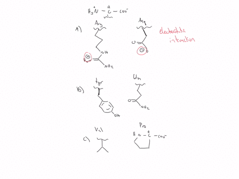 draw-the-possible-interactions-between-the-following-pairs-of-amino-acid-side-chains-indicate-what-type-of-binding-interaction-is-represented-a-arginine-and-aspartic-acid-b-tyrosine-and-glut-08544