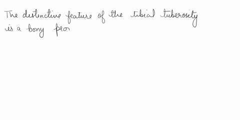 match-the-terms-in-the-key-with-the-approprinte-leader-hines-o-ine-pholograph-of-the-anterior-vicw-of-the-tibia-ker-nnterior-border-ialcral-condyle-medial-condyle-medial-malleolus-tibial-tub-29519