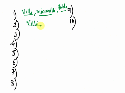 the-three-structural-features-of-the-small-intestine-that-increase-its-surface-area-are-the-the-villi-and-the-microvilli-2-the-finger-like-projections-that-cover-the-circular-folds-of-the-sm-14834