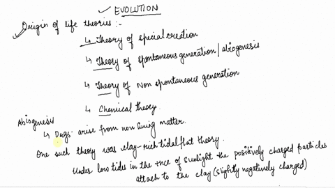 according-to-one-hypothesis-negatively-charged-clay-particles-played-a-role-in-early-_____-a-protein-38173
