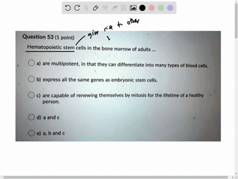 question-53-1-point-hematopoietic-stem-cells-in-the-bone-marrow-of-adults-a-are-multipotent-in-that-they-can-differentiate-into-many-types-of-blood-cells-b-express-all-the-same-genes-as-embr-57808