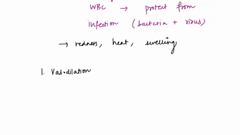 put-the-following-steps-of-inflammation-into-the-correct-order-1-neutrophils-enter-and-do-phagocytosis-2-macrophages-enter-and-do-phagocytosis-3-mast-cells-release-chemical-mediators-4vasodi-16057