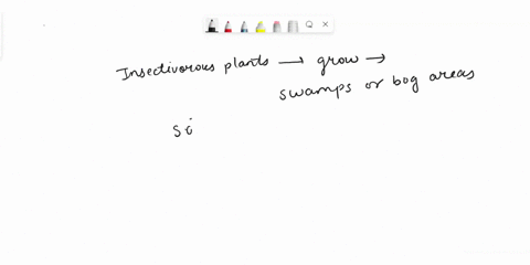 the-insectivorous-plants-are-a-heterotrophs-b-partial-heterotrophs-c-omnivores-d-partial-omnivores-05928