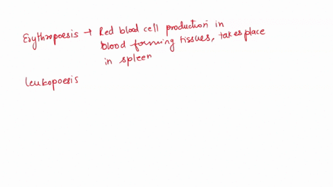what-does-leukopoiesis-have-in-common-with-erythropoiesis-how-does-it-differ-72734