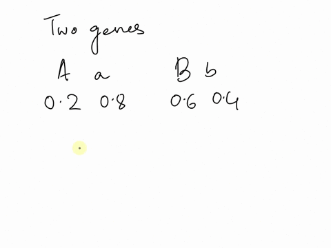 suppose-two-independently-segregating-genes-a-and-b-at-locus-a-we-have-two-alleles-with-frequencies-fa-02-and-fa-08-at-locus-b-we-also-have-two-alleles-with-frequencies-fb-06-and-fb-04-assum-81664