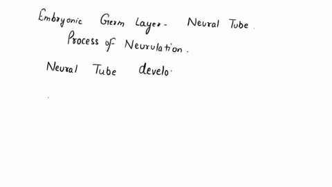 1-which-embryonic-germ-layer-gives-rise-to-the-neural-tube-describe-the-process-of-neurulation-what-does-the-neural-tube-become-60908