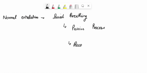 incorrectcontraction-of-the-diaphragm-is-necessary-for-the-normal-inhalation-normal-exhalation-during-quiet-breathing-depends-on-which-factors-oincreasing-the-volume-of-the-pulmonary-alveoli-83605
