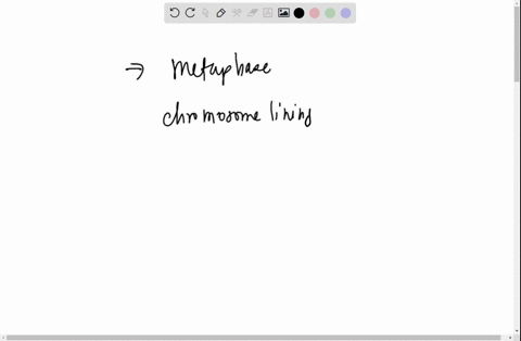 please-identify-the-phase-of-cell-cycle-from-the-micro-graph-shown-here-cell-2-interphase-prophase-metaphase-anaphase-telephase-40645