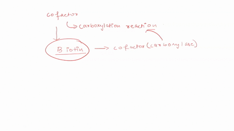 which-of-these-cofactors-facilitates-carboxylation-reactions-biotin-biocytin-thiamine-pyrophosphate-tpp-coenzyme-a-coash-fad-question-points-save-answer-how-does-fructose-6-biephoephate-f26b-15107