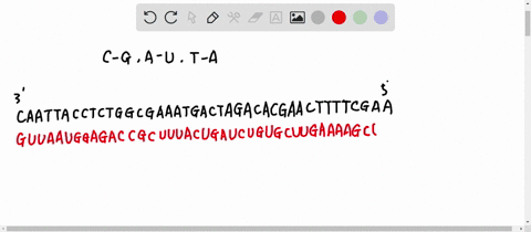 the-genetic-code-amino-acid-abretiations-position-position-alanine-fosition-c-cysteine-aspartic-acid-glutamic-acid-phcuslalanine-setine-tyrosine-caleine-phenvtinine-pheni-lalanine-cenne-ioci-16435