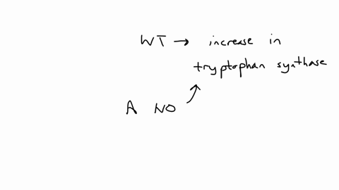 recently-some-interesting-e-coli-mutants-were-obtained-and-analyzed-when-grow-on-minimal-media-that-was-supplemented-with-high-medium-or-low-amounts-of-tryptophan-the-table-below-indicates-t-01718