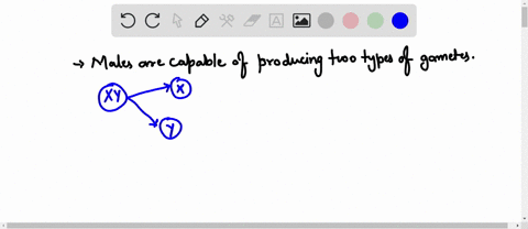 question-1-1-point-all-humans-are-capable-of-producing-gametes-containing-different-sex-chromosomes-true-false-66435