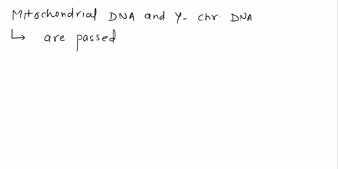 true-or-false-9-9there-is-more-variability-in-the-mtdna-and-y-chromosome-dna-of-living-people-of-african-ancestry-than-that-of-living-non-african-people-10acoreis-a-source-of-sharp-flakes-11-12006
