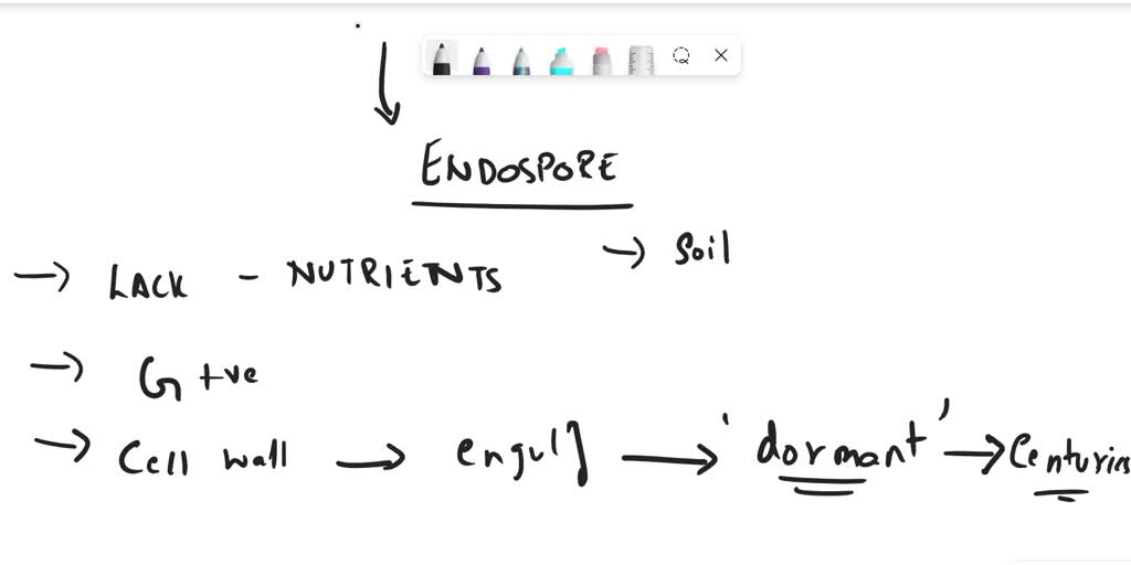 SOLVED Why do you suppose endosporeforming bacteria are commonly