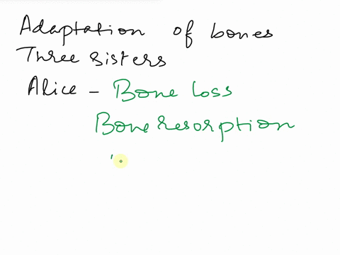 the-adaptability-of-bone-evolutionarily-speaking-lighter-bones-make-for-lighter-skeletons-to-carry-around-and-thereby-offering-an-animal-greater-speed-heavier-bones-require-individuals-to-in-19897