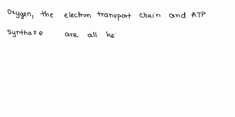 which-of-the-following-substances-isare-involved-in-oxidative-phosphorylation-of-cellular-respiration-79632