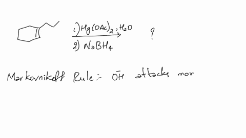 draw-the-structure-of-the-major-organic-product-of-the-following-reaction-chzchzch-hgoacz-hzo-2-nabha-you-do-not-have-t0-consider-stereochemistry-in-cases-where-there-is-more-than-one-answer-73497