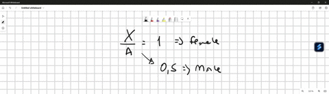 what-are-the-sexual-phenotypes-of-the-following-genotypes-in-drosopbila-xx-xy-xxy-xxx-xo-01343