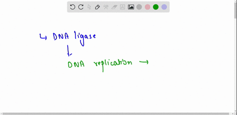 if-dna-ligase-was-nonfunctional-what-would-be-a-likely-consequence-a-dna-replication-would-not-be-able-to-occur-at-all-b-dna-replication-would-occur-but-the-leading-strand-would-be-composed-07024