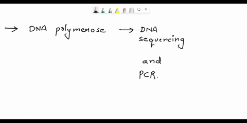 compare-and-contrast-the-use-of-the-dna-polymerase-enzyme-in-dna-sequencing-and-pcr-12124