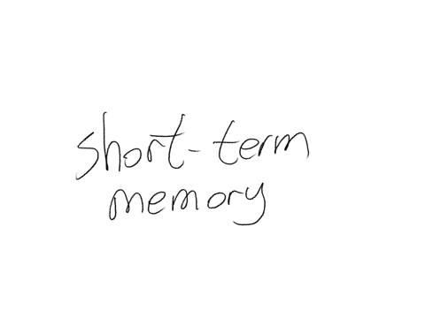 observations-that-people-may-actually-process-and-manipulate-information-rather-than-simply-store-it-for-brief-periods-of-time-challenged-the-conceptualization-of-the-phonological-similarity-effect-th