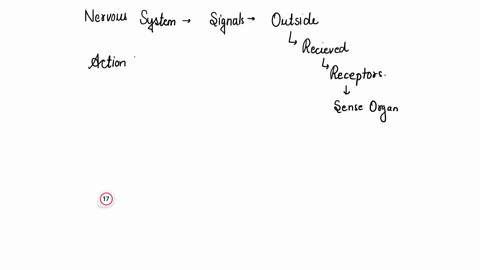 in-order-for-our-nervous-system-to-give-us-ccurate-and-useful-information-from-our-environment-our-sensory-system-has-to-have-certain-characteristics-check-those-items-below-that-include-sen-23522