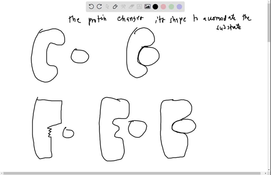 solved-as-the-substrate-enters-the-active-site-its-functional-groups