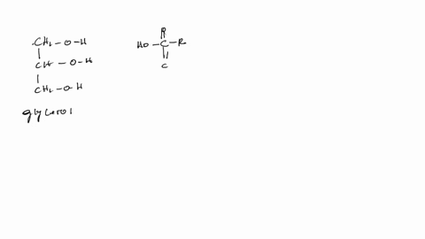 11-what-functional-group-in-triglyeride-lipid-is-formed-between-glycerol-and-a-saturated-fatty-acid-carboxylic-acid-alcohol-ester-hydroxyl-49884