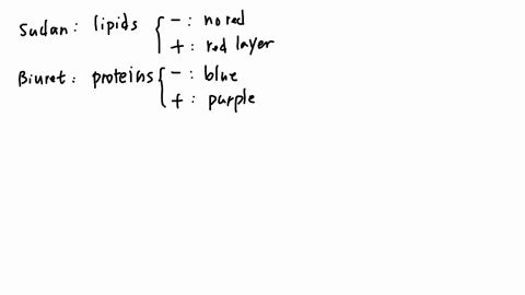 foods-you-perform-the-carbohydrates-protein-and-lipids-tests-on-the-foods-shown-and-your-results-are-collected-in-the-table-below-based-on-the-data-write-what-your-hypothesis-is-regarding-th-84446
