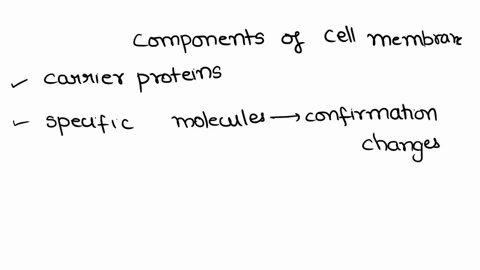 which-component-of-the-cell-membrane-functions-to-actively-transport-molecules-into-the-cell-19714