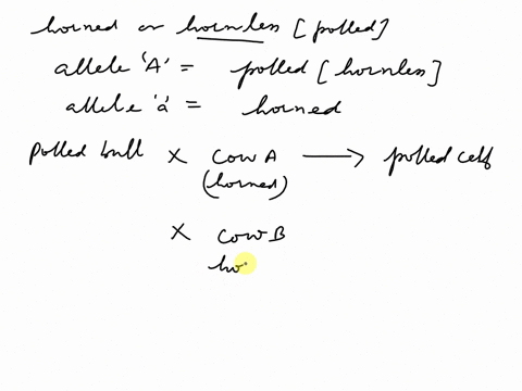 in-cattle-genes-determine-whether-an-individual-will-be-horned-or-homless-the-hornless-condition-is-also-called-polled-the-allele-a-that-produces-the-polled-hornless-condition-is-dominant-ov-05986
