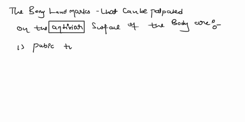 which-bony-landmarks-can-be-palpated-on-the-anterior-surface-of-the-body-close-to-the-midline-ischial-spines-pubic-tubercles-ischial-tuberosities-anterior-superior-iliac-spines-19199
