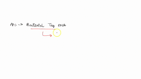 polymerase-enzyme-catalyzes-dna-synthesis-during-pcr-0-human-dna-0-fungal-rna-bacterial-taq-dna-bocterial-rna-15854