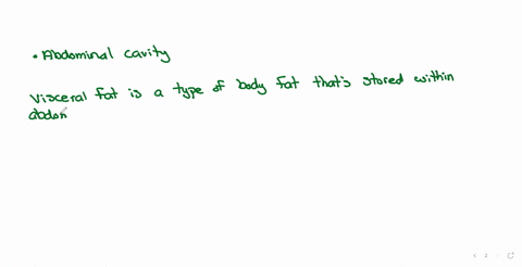 visceral-fat-refers-to-fat-deposited-in-which-region-group-of-answer-choices-hips-abdominal-cavity-thighs-thoracic-cavity