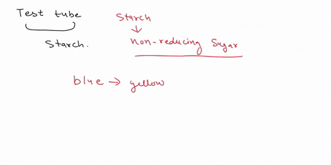 use-figure-7-for-question-5-why-did-the-test-tube-containing-starch-not-change-colors-be-specific-97897