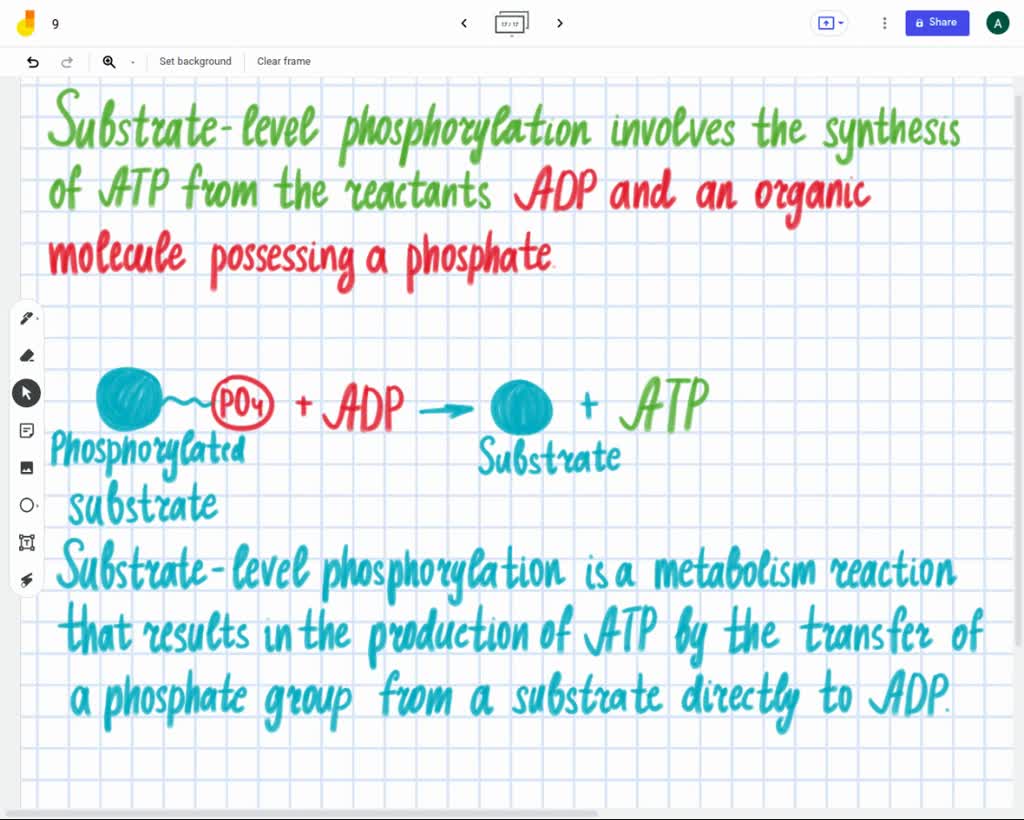 phosphorylation au niveau du substrat et phosphorylation oxydative