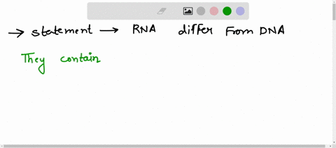 which-statement-describes-one-way-that-rna-differs-from-dna-57247