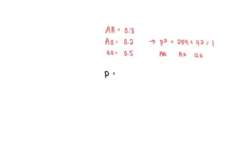 question-30-the-genotypic-frequencies-of-aa-aa-and-aa-are-0302-and-05respectively-therefore-the-frequency-of-allele-a-is-04-the-frequency-of-allele-is-06-the-frequency-of-allele-a-is-045-the-08761