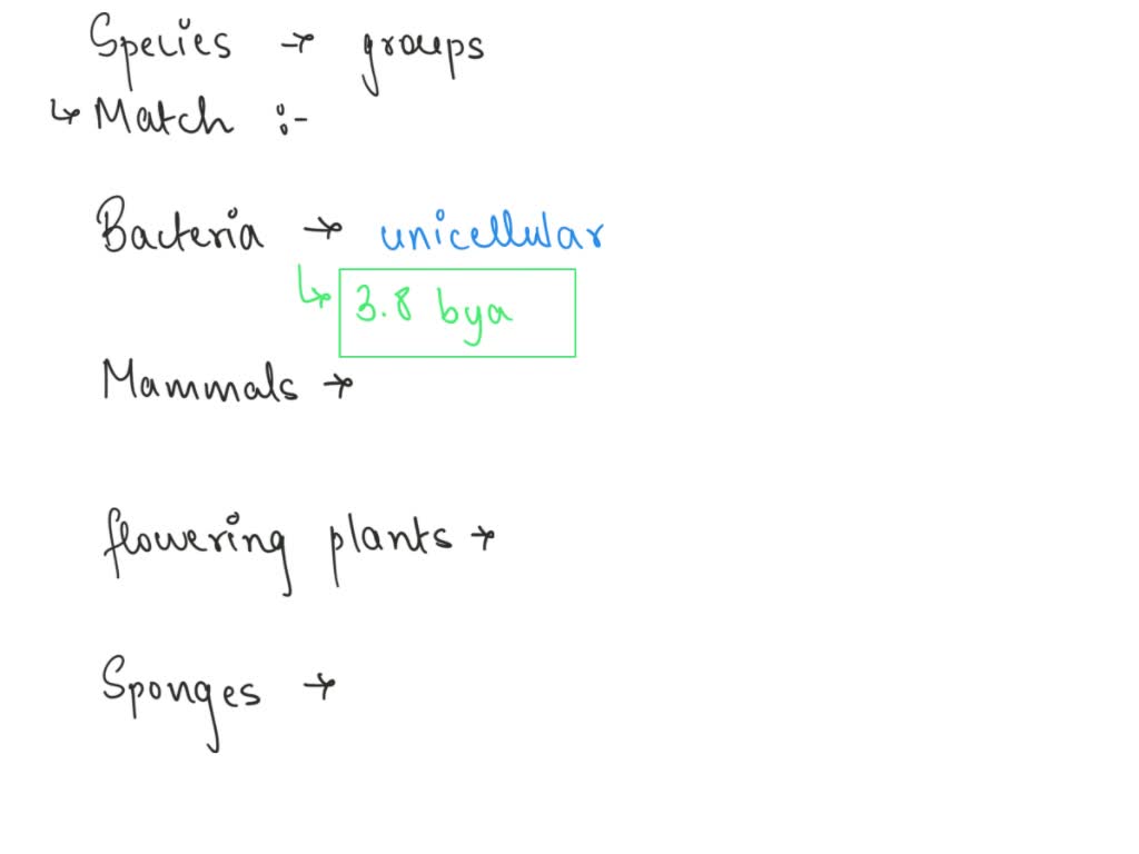 SOLVED: I don't understand this question. Please help! Thank you! Match