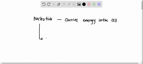 question-23-the-nucleotide-that-serves-2s-an-energy-carrier-in-cells-is-cyclic-amp-bfad-nad-datp-e-dna-97707