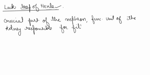 if-nephrons-lacked-a-nephron-loop-what-would-be-the-effect-on-the-volume-and-solute-osmotic-concentration-of-the-urine-produced-29853