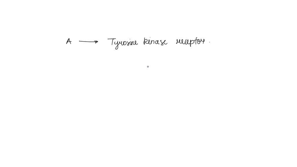 SOLVED One of the major categories of receptors in the plasma membrane reacts by forming dimers