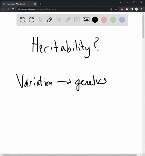 what-is-heritability-how-is-it-measured-21407
