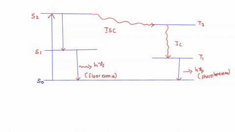 select-the-least-correct-statement-from-the-following-about-fluorescence-and-phosphorescence-a-phosphorescence-emits-at-longer-wavelength-than-fluorescence-b-in-phosphorescence-the-spin-stat-37225