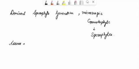 how-did-the-evolution-of-seed-plants-change-the-different-forms-in-the-life-cycle-of-plants-dominant-sporophyte-generation-and-microscopic-gametophyte-within-sporophyte-dominant-gametophyte-26786