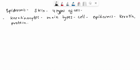 1-what-are-the-four-types-of-the-cells-found-in-epidermis-of-skin-shortly-describe-the-functions-of-each-of-them-2-name-five-layers-strata-of-thick-skin-and-give-short-description-on-each-of-64477