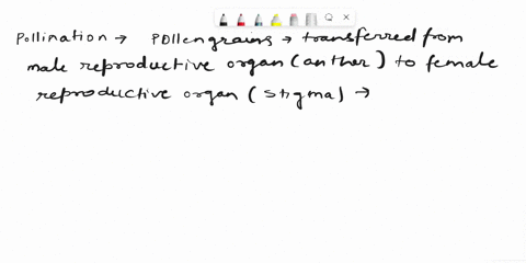 what-is-pollination-mention-any-four-features-of-wind-pollination-flowers-06752