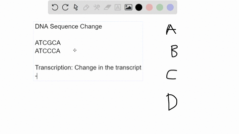 a-variation-in-the-nucleotide-sequence-of-a-gene-in-the-dna-will-always-result-in-_____-why-is-the-answer-correct-and-why-incorrect-a-a-change-in-the-mrna-codon-b-a-different-amino-acid-bein-14732