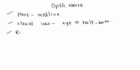 where-does-the-optic-nerve-cross-the-midline-a-optic-chiasm-b-primary-visual-cortex-c-corpus-callosum-d-midbrain-67122